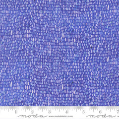 Delphinium - Palette - Agapanthus