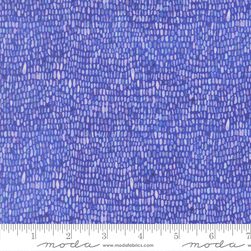 Delphinium - Palette - Agapanthus
