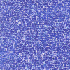 Delphinium - Palette - Agapanthus