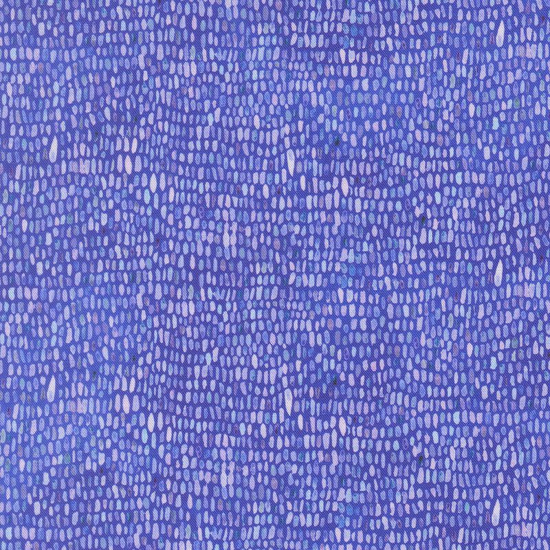 Delphinium - Palette - Agapanthus