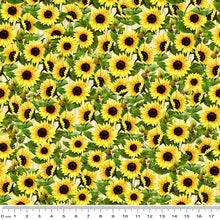 Load image into Gallery viewer, Sunshine &amp; Sunflowers Field of Cream