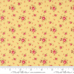 Lyda Rose - Petite Rose - Sunwashed