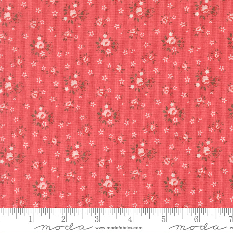 Lyda Rose - Petite Rose - Petal