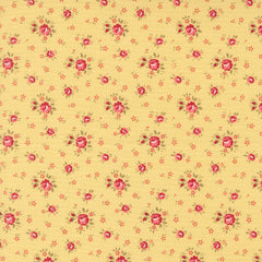 Lyda Rose - Petite Rose - Sunwashed