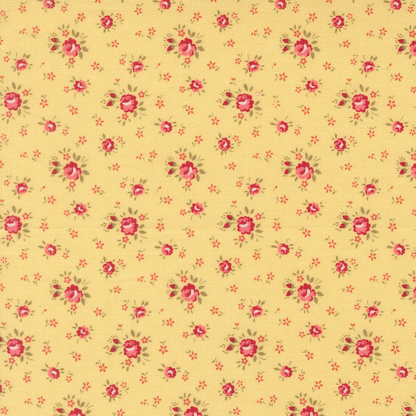 Lyda Rose - Petite Rose - Sunwashed