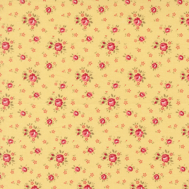 Lyda Rose - Petite Rose - Sunwashed