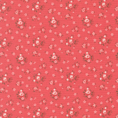 Lyda Rose - Petite Rose - Petal