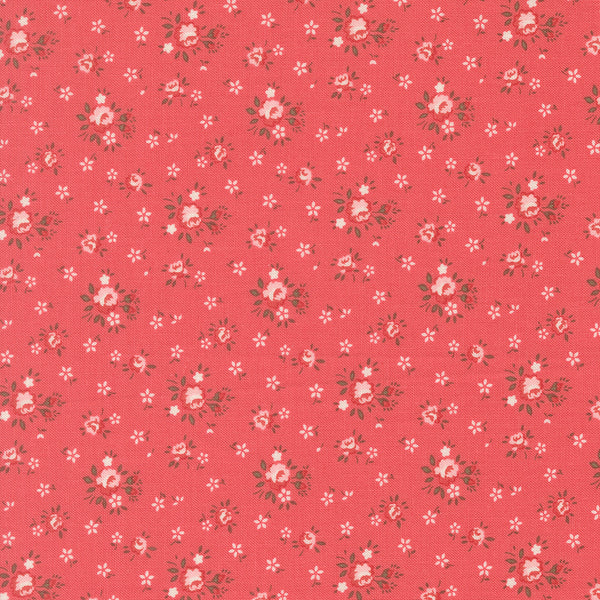 Lyda Rose - Petite Rose - Petal