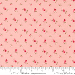 Lyda Rose - Ladybugs - Pink