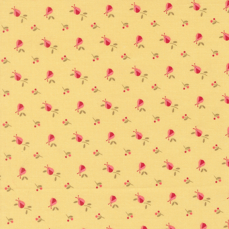 Lyda Rose - Ladybugs - Sunwashed