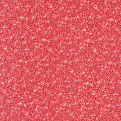 Lyda Rose - Wild Rose - Petal