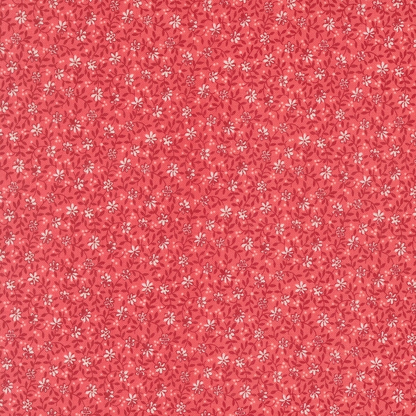 Lyda Rose - Wild Rose - Petal