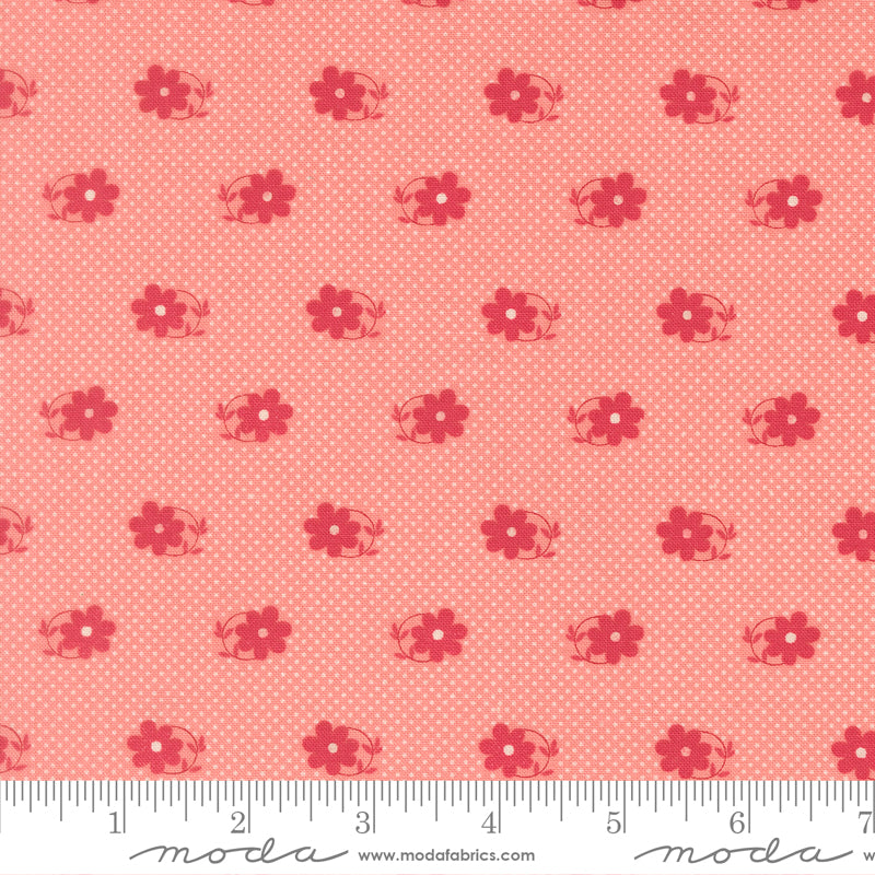 Petals and Polka Dots - Floral Blossoms