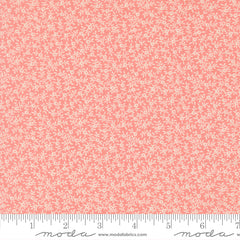 Petals and Polka Dots - Garden Vine Blush