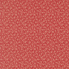 Petals and Polka Dots - Garden Vine Rose