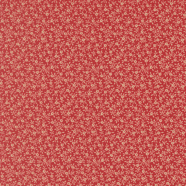 Petals and Polka Dots - Garden Vine Rose