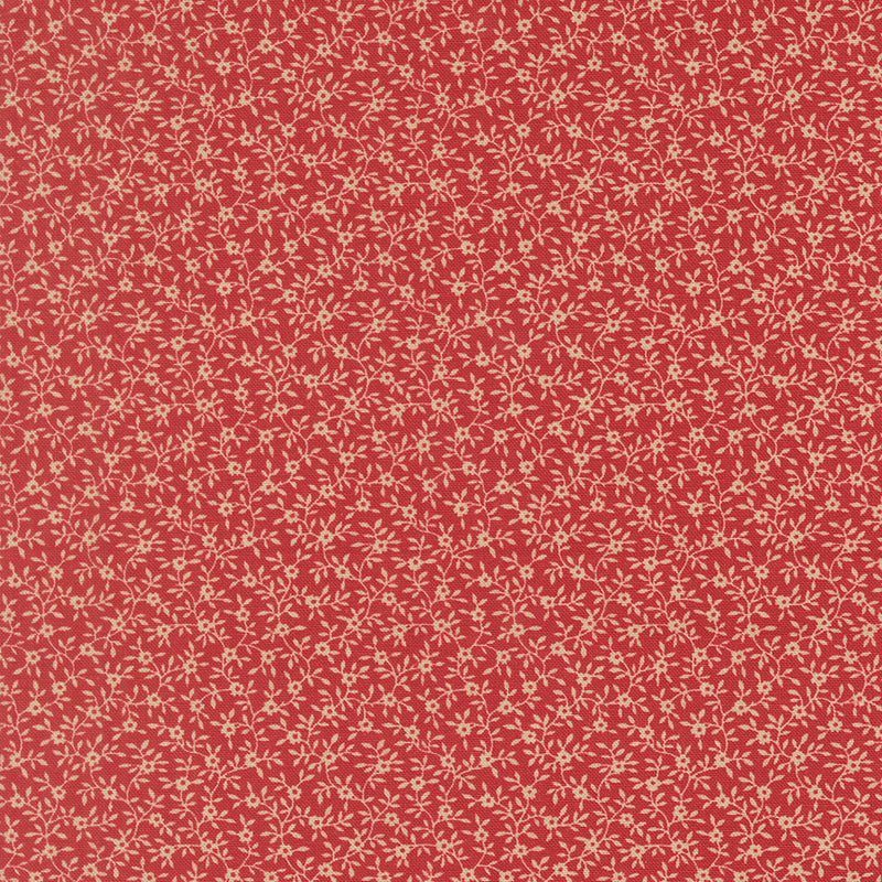 Petals and Polka Dots - Garden Vine Rose