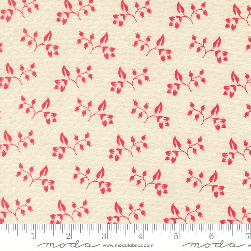 Petals and Polka Dots - Rose Hips Lace
