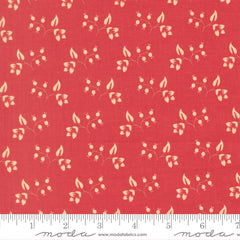 Petals and Polka Dots - Rose Hips Rose