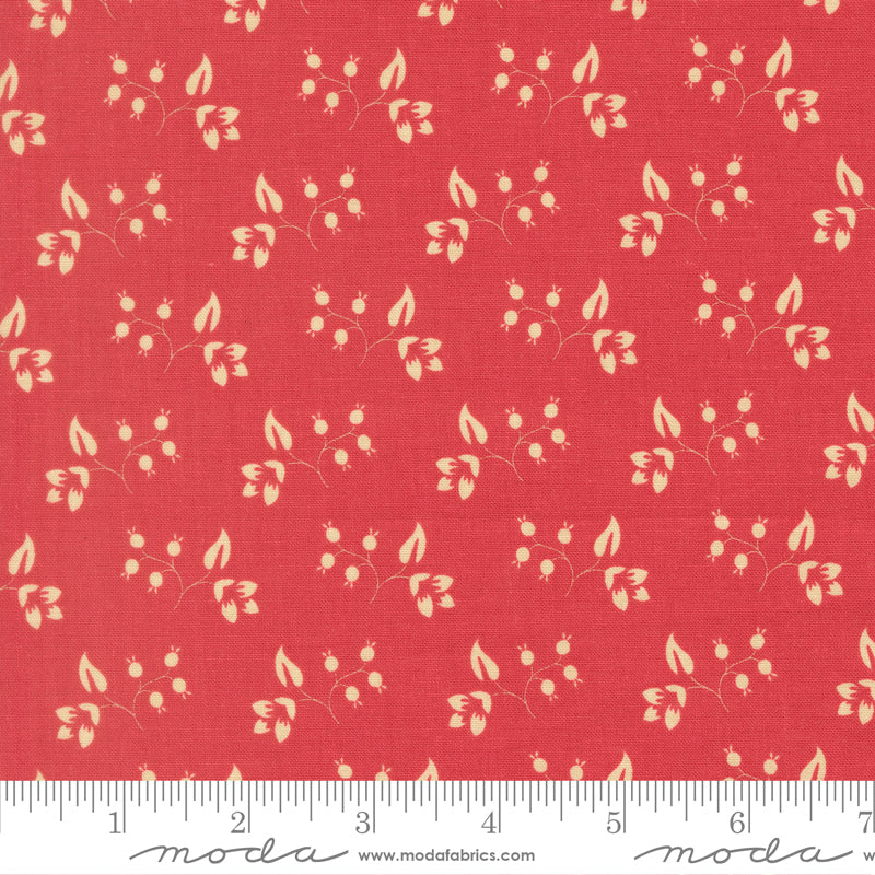Petals and Polka Dots - Rose Hips Rose