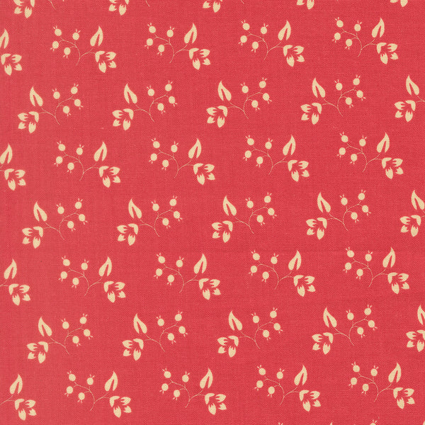 Petals and Polka Dots - Rose Hips Rose