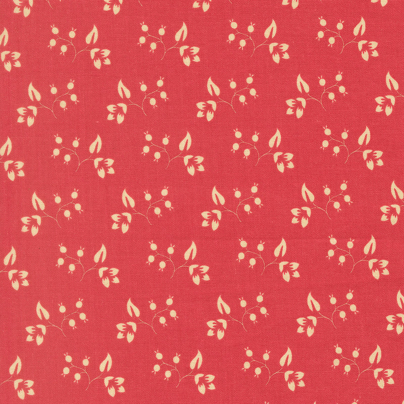 Petals and Polka Dots - Rose Hips Rose