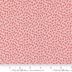 Goodnight Irene - Ripples - Carnation