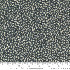 Goodnight Irene - Ripples - Graphite