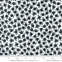 Load image into Gallery viewer, Concrete Jungle - Fruity Dots - White
