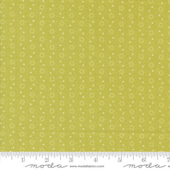 Portofino - Dots - Picholine