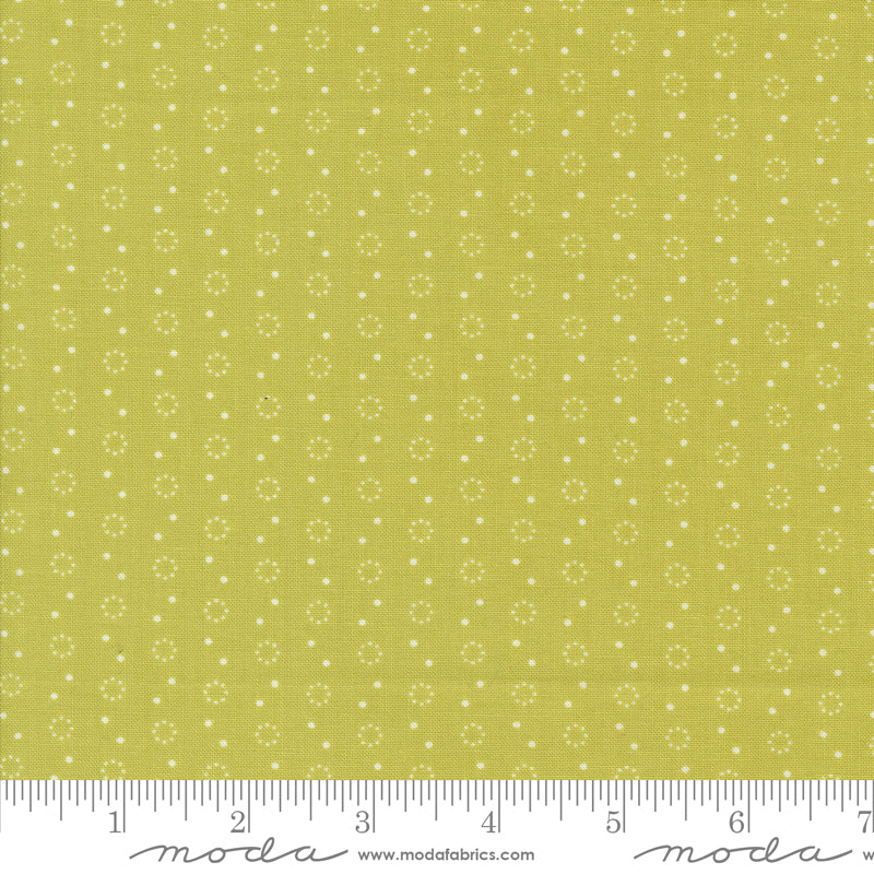 Portofino - Dots - Picholine