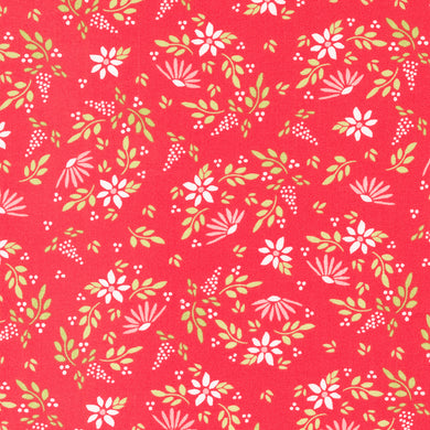 Favourite Things - Amaryllis Florals Berry