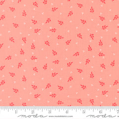 Favourite Things - Holly Blenders Blush