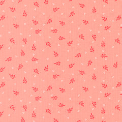 Favourite Things - Holly Blenders Blush