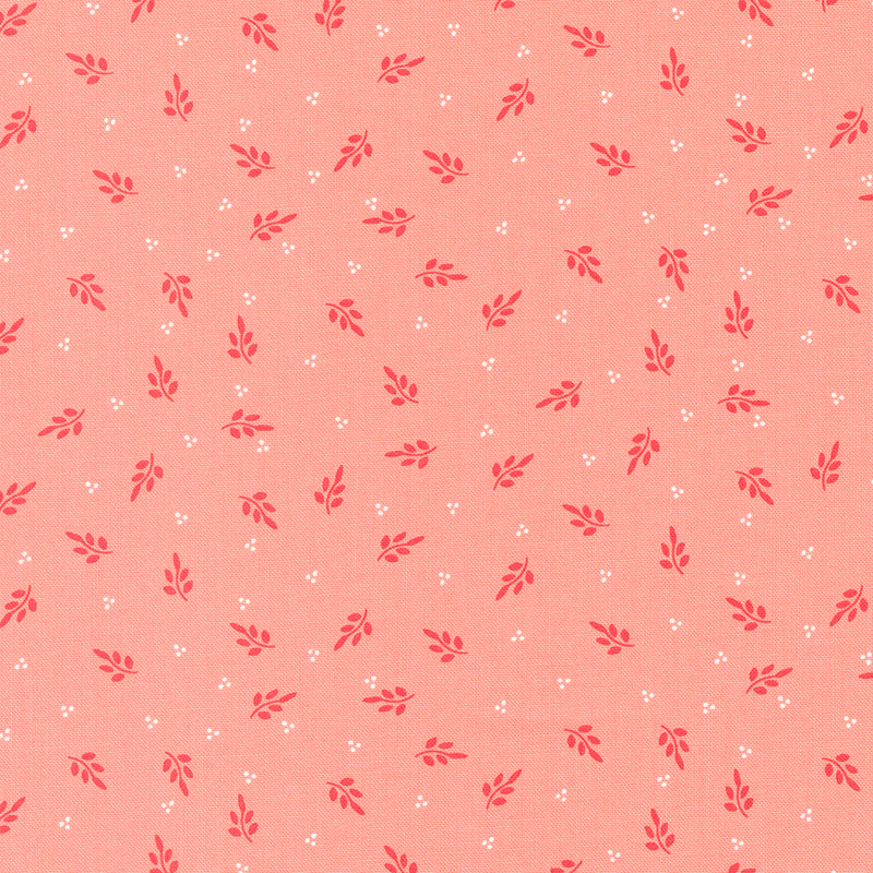 Favourite Things - Holly Blenders Blush