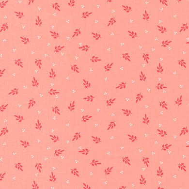 Favourite Things - Holly Blenders Blush
