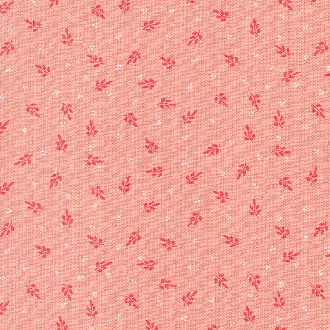 Favourite Things - Holly Blenders Blush