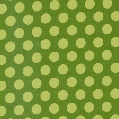 Favourite Things - Dots Evergreen