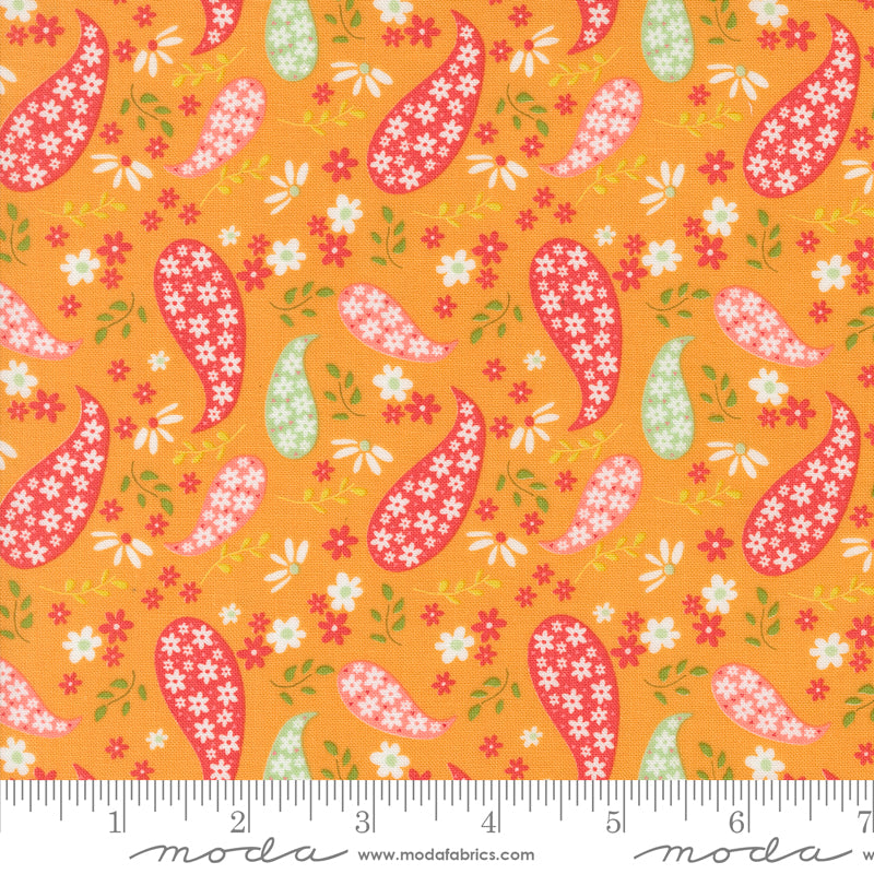 Raspberry Summer - Paisley - Apricot