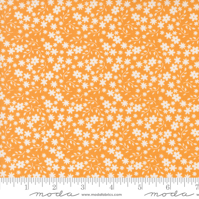 Raspberry Summer - Small Floral - Apricot
