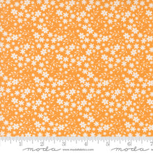 Load image into Gallery viewer, Raspberry Summer - Small Floral - Apricot
