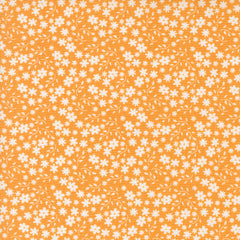 Raspberry Summer - Small Floral - Apricot