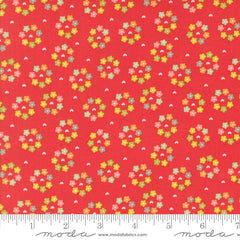 Raspberry Summer - Daisy Clusters - Raspberry