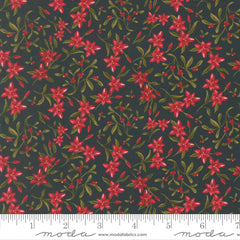Silent Night - Sprigs Holy Night
