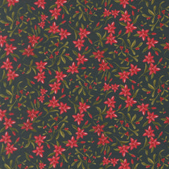 Silent Night - Sprigs Holy Night