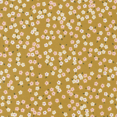 Evermore - Forget Me Not - Honey