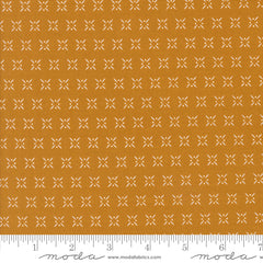 Frivolity - Criss Cross Chai