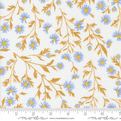 Sun Drenched - Wild Daisy - Cloud