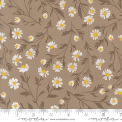 Sun Drenched - Wild Daisy - Stone