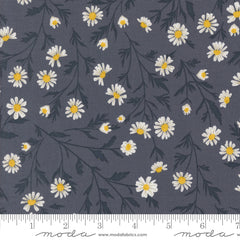 Sun Drenched - Wild Daisy - Indigo